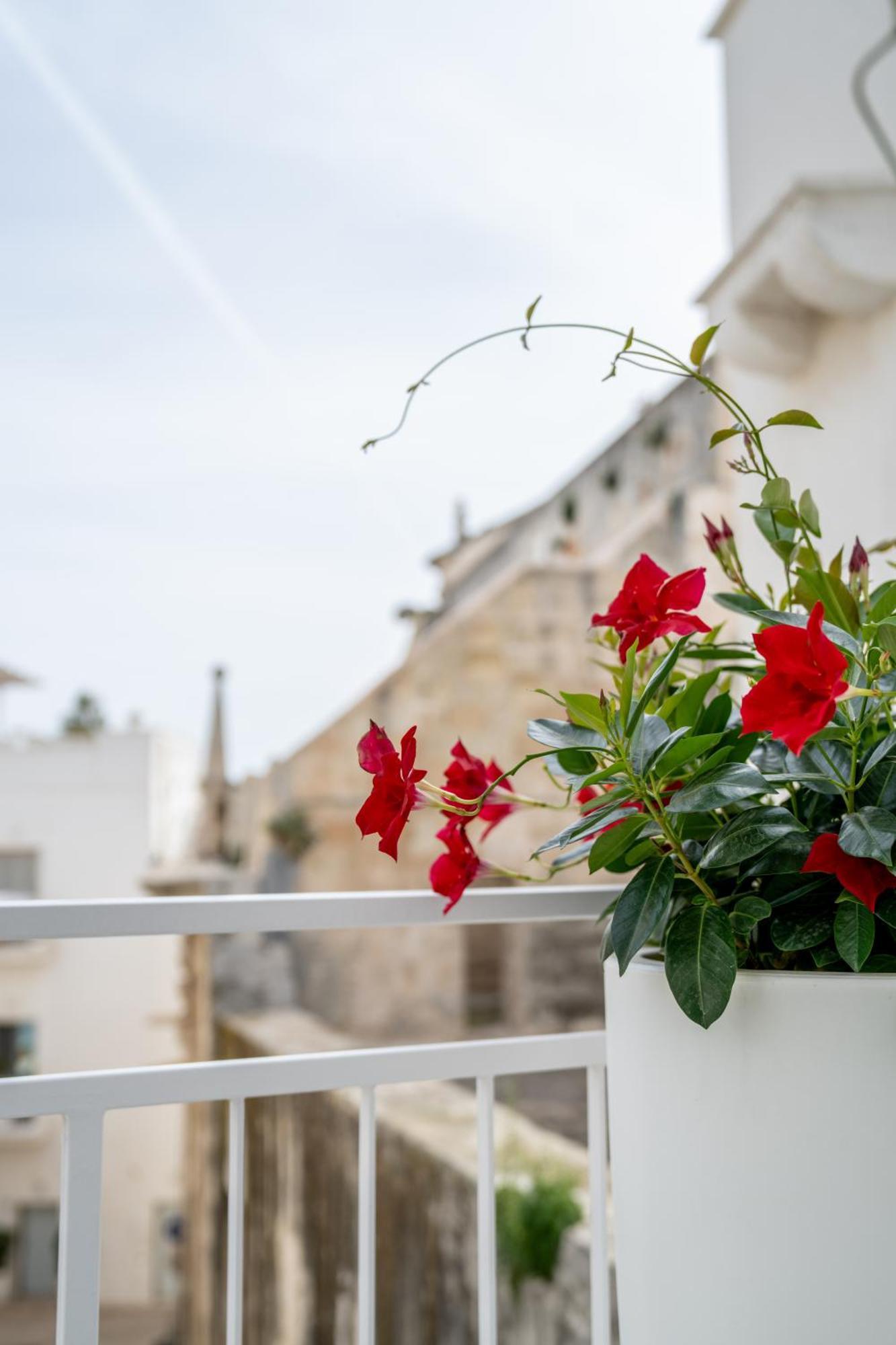 Innesto Rooms - Monopoli Exterior photo